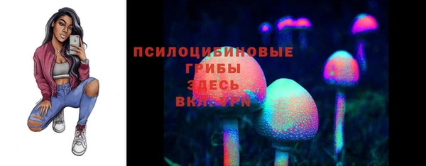 СК Аркадак
